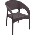 ΠΟΛΥΘΡΟΝΑ ΠΟΛΥΠΡΟΠΥΛΕΝΙΟΥ Ν-2