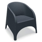 ΠΟΛΥΘΡΟΝΑ ΠΟΛΥΠΡΟΠΥΛΕΝΙΟΥ Ν-4