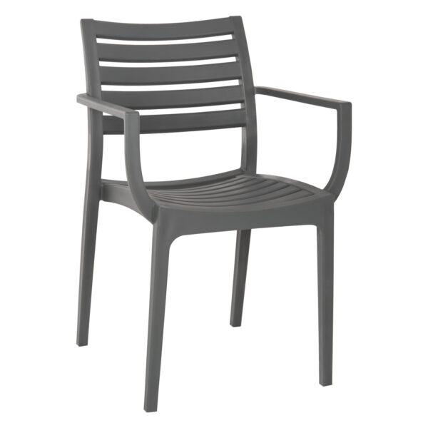 ΠΟΛΥΘΡΟΝΑ ΠΟΛΥΠΡΟΠΥΛΕΝΙΟΥ DARK GREY ARAMIS