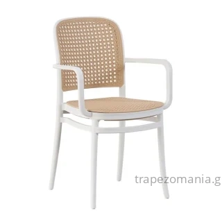ΕΠΑΓΓΕΛΜΑΤΙΚΗ ΠΟΛΥΘΡΟΝΑ ΠΟΛΥΠΡΟΠΥΛΕΝΙΟΥ ΛΕΥΚΗ ΑΣΠΡΗ ΜΠΕΖ FINE
